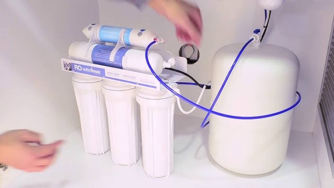 Manglares de Dzinintún